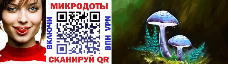 купить наркотики сайты  Старица  Псилоцибиновые грибы Cubensis 